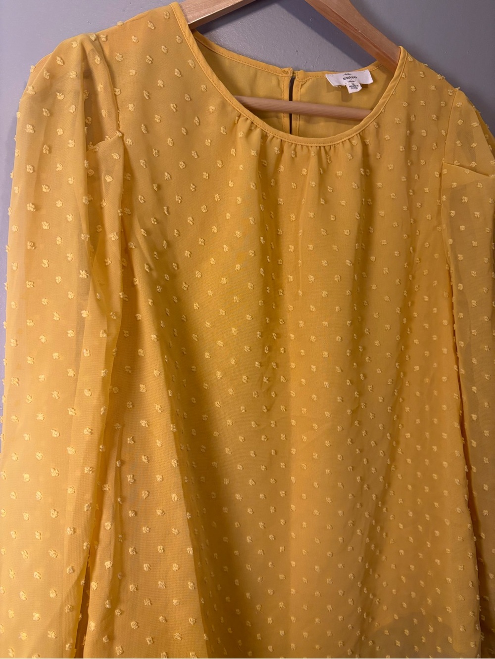 Entro Swiss Dot Long Sleeve Blouse - Picture 2 of 6